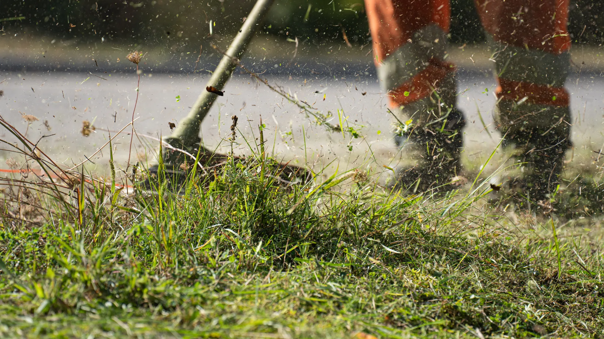 Zdjęcie realizacji koszenia trawników.